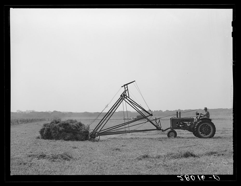 [Untitled photo, possibly related to: Loading hay with a jayhawk. Kimberley farm, Jasper County, Iowa]. Sourced from the…