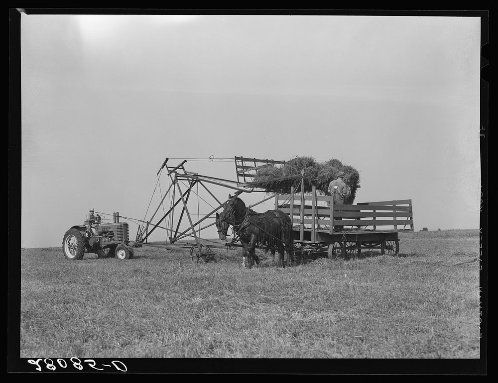 Operating a jayhawk hayloader. Kimberley farm, Jasper County, Iowa. Sourced from the Library of Congress.