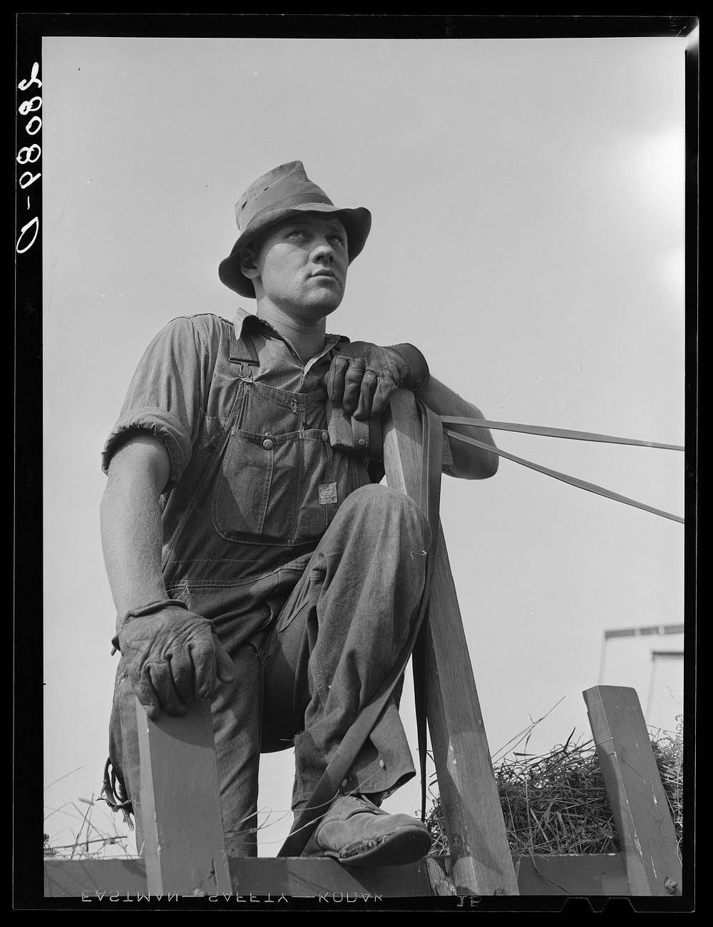 Hired hand. Kimberley Farm, Jasper County, Iowa. Sourced from the Library of Congress.