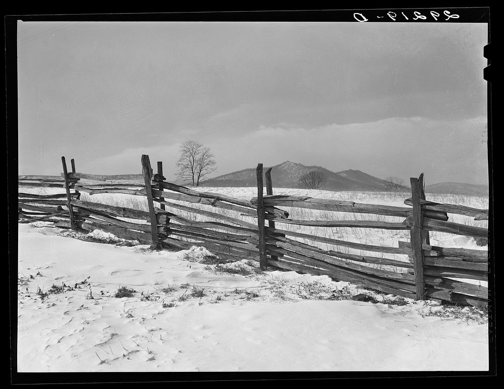 Split rail fence. Rappahannock County, Virginia. Sourced from the Library of Congress.