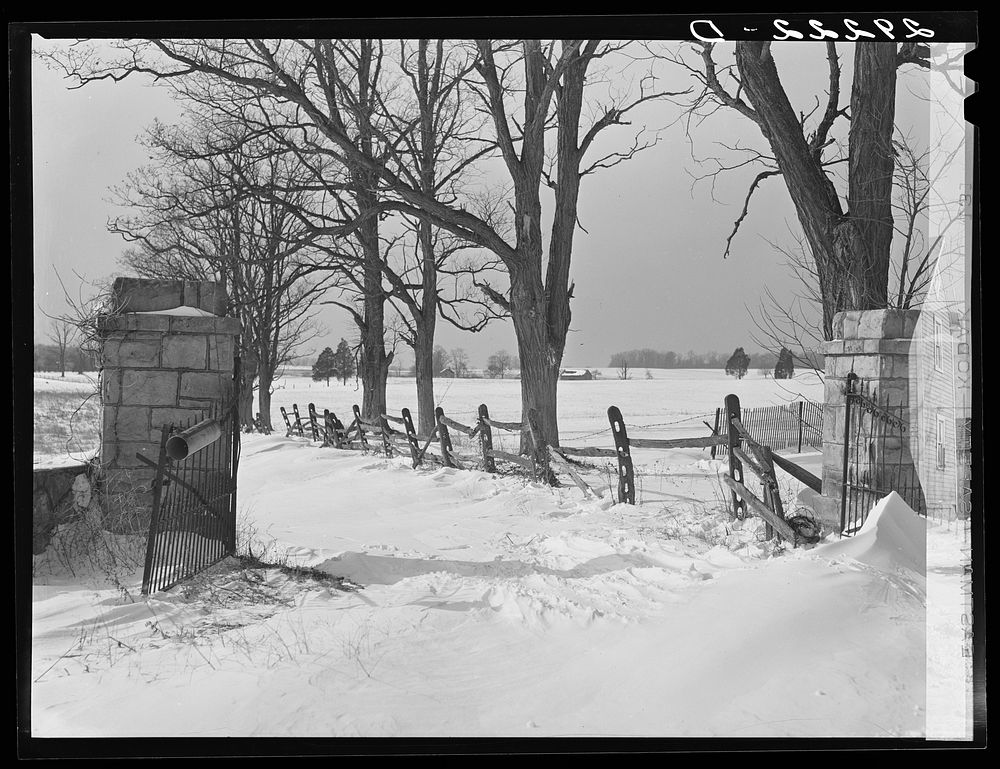 [Untitled photo, possibly related to: Snowbound farm. Montgomery County, Maryland]. Sourced from the Library of Congress.