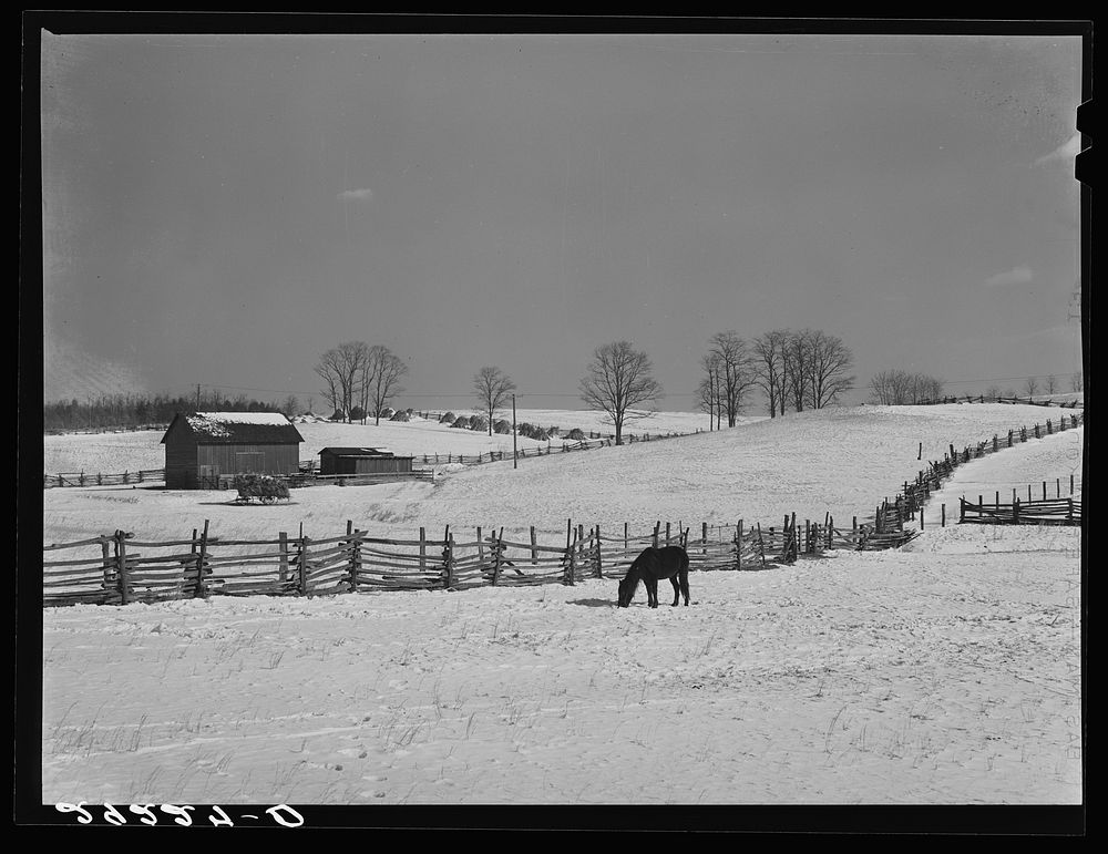 Farm. Rappahannock County, Virginia. Sourced from the Library of Congress.