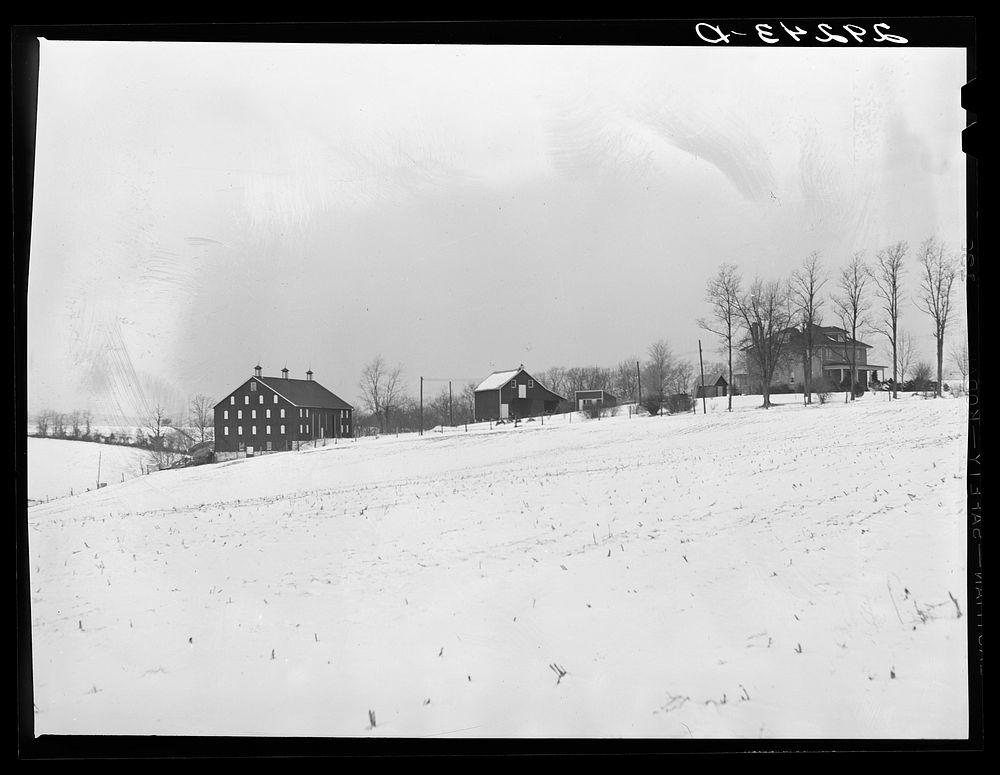 Farm. Montgomery County, Maryland. Sourced from the Library of Congress.