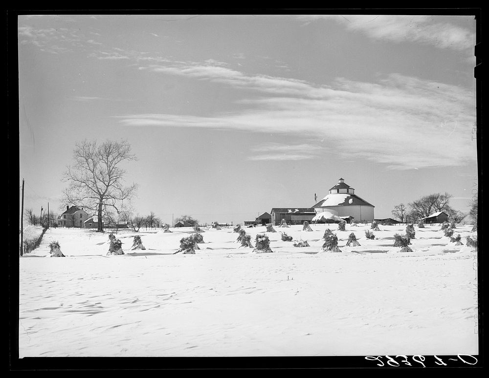 Farm. Ross County, Ohio. Sourced from the Library of Congress.