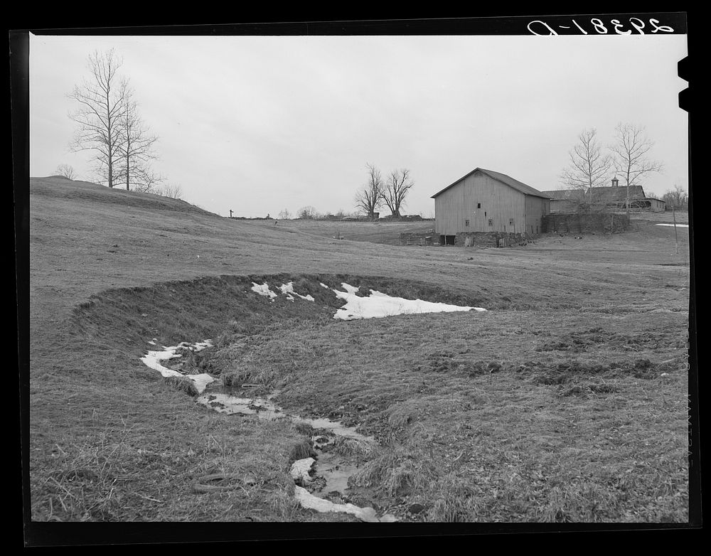 Farm. Frederick County, Virginia. Sourced from the Library of Congress.