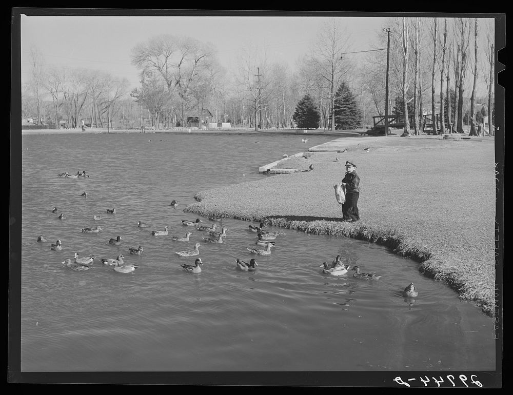 Feeding ducks in park. Reno, Nevada. Sourced from the Library of Congress.