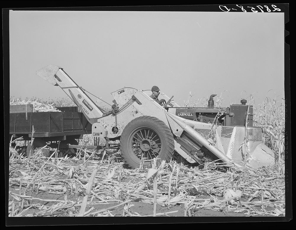 [Untitled photo, possibly related to: Mechanical corn picker. Fred Coulter farm. Grundy County, Iowa]. Sourced from the…