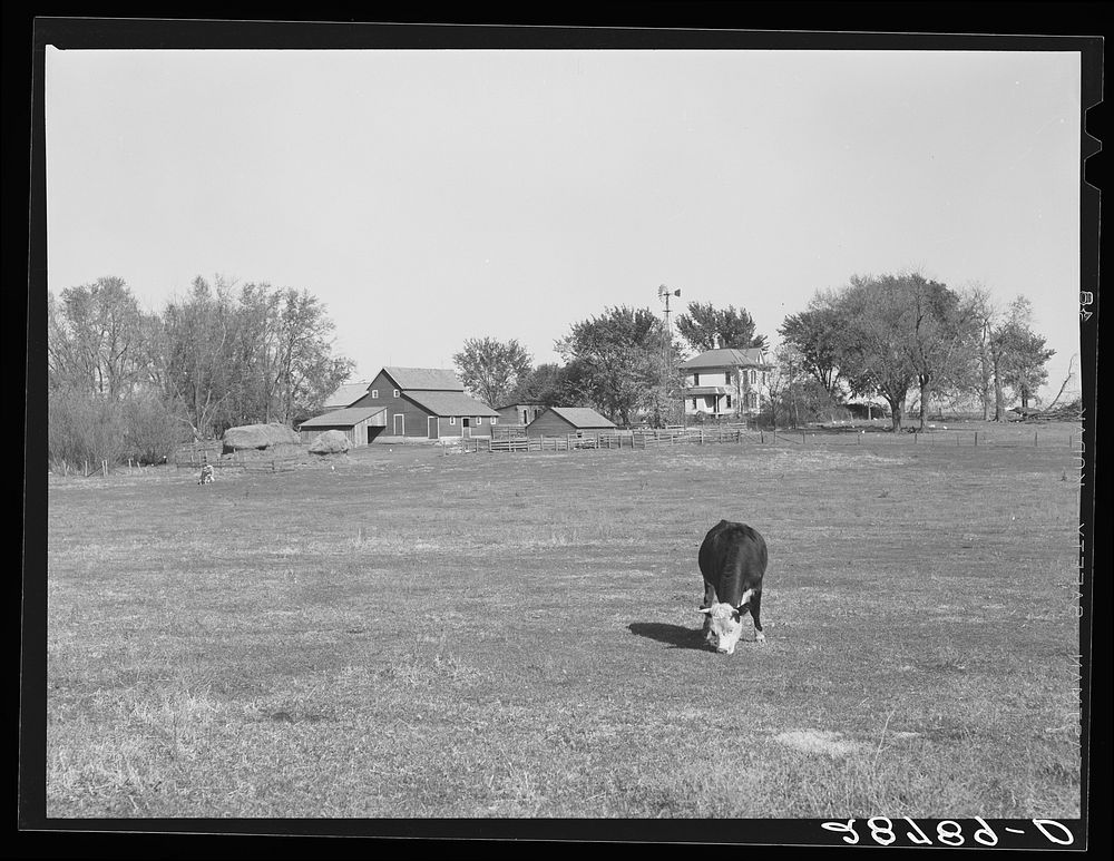 [Untitled photo, possibly related to: Farm. Grundy County, Iowa]. Sourced from the Library of Congress.