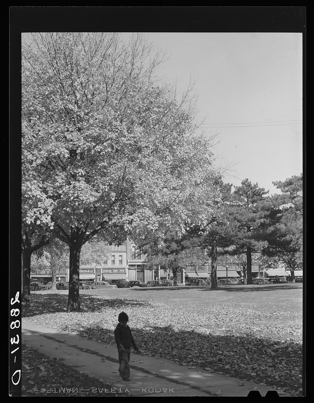 Autumn leaves on courthouse lawn. Grundy Center, Iowa. Sourced from the Library of Congress.