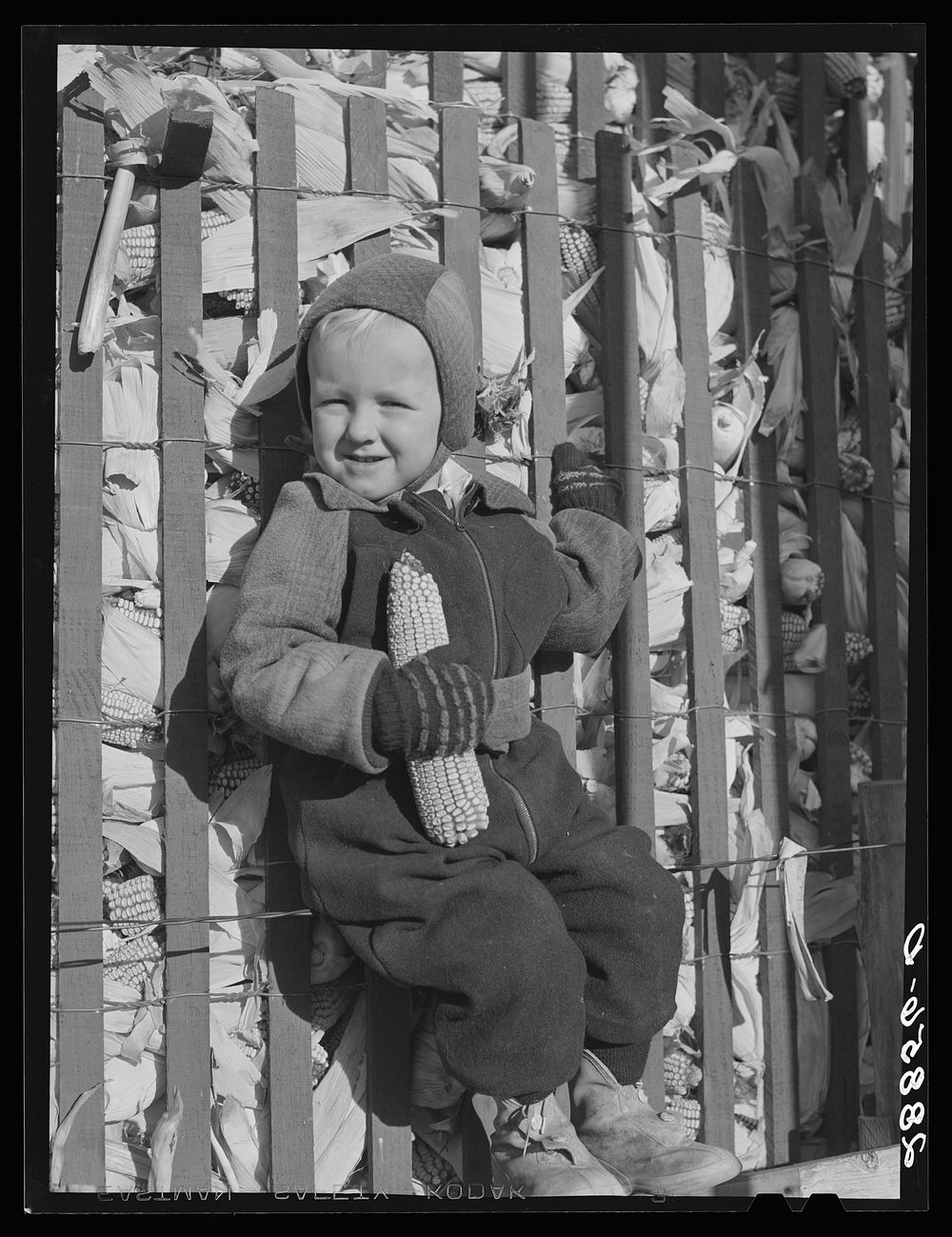 Farmer's son. Grundy County, Iowa. Sourced from the Library of Congress.