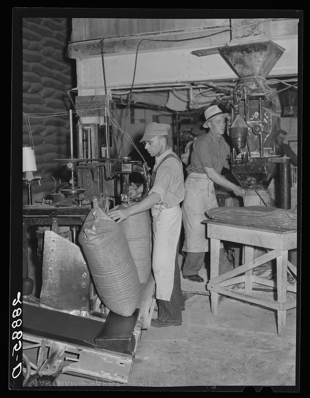 Filling bags with sugar. Brighton, Colorado. Sourced from the Library of Congress.