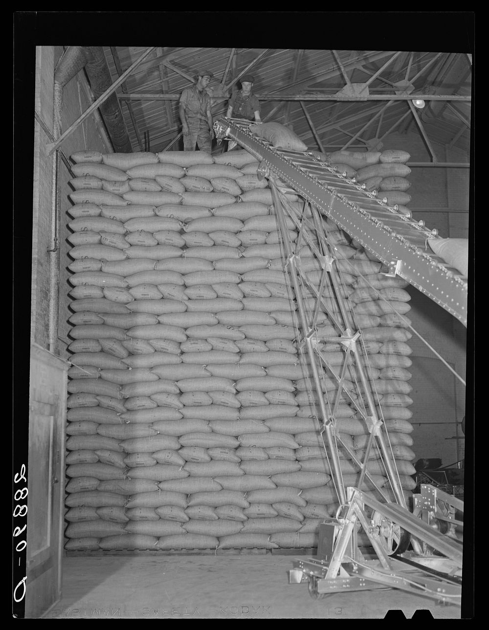Storing bags of sugar at beet factory, Brighton, Colorado. Sourced from the Library of Congress.