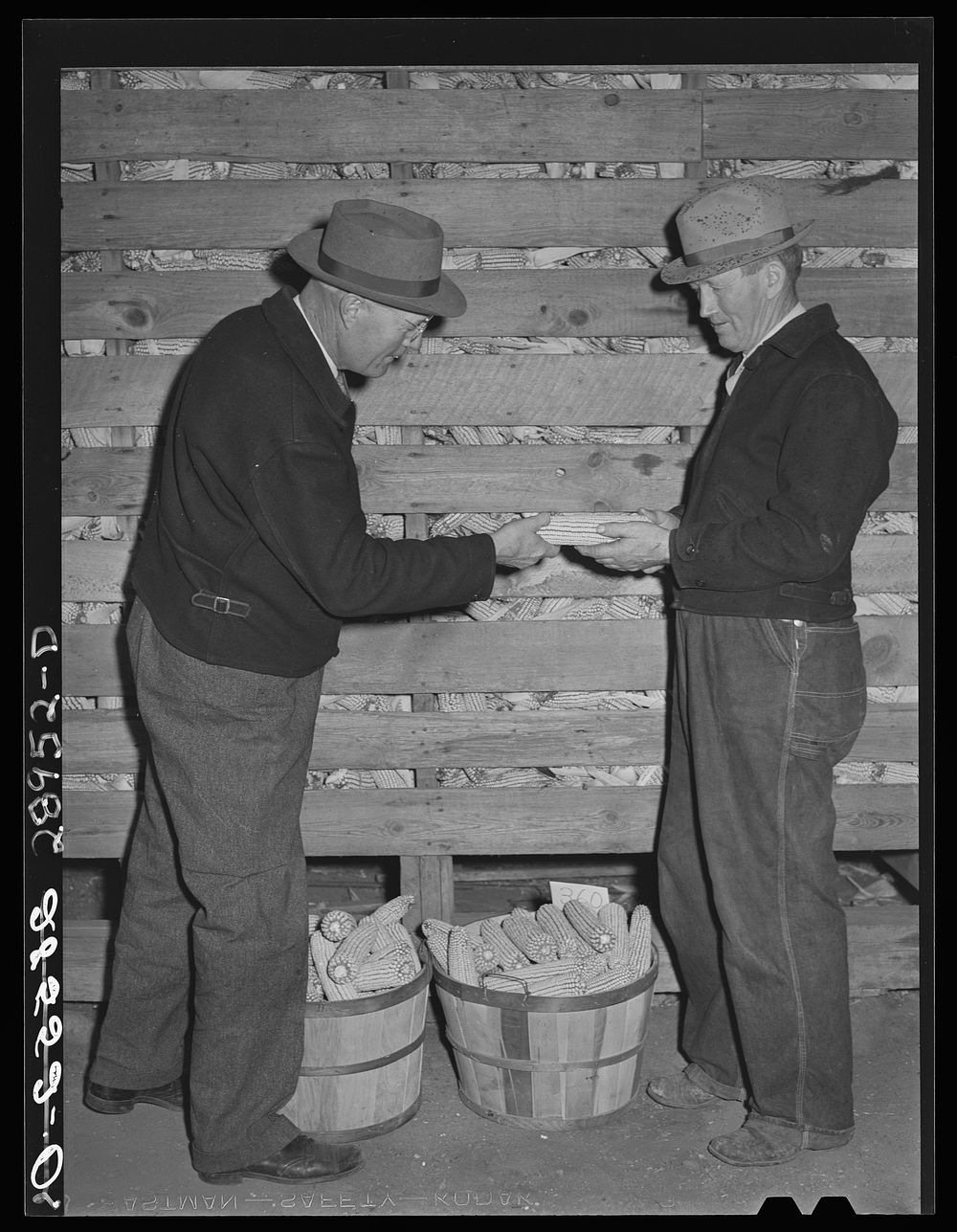 Hybrid corn salesman. Cornhusking contest. Marshall County, Iowa. Sourced from the Library of Congress.