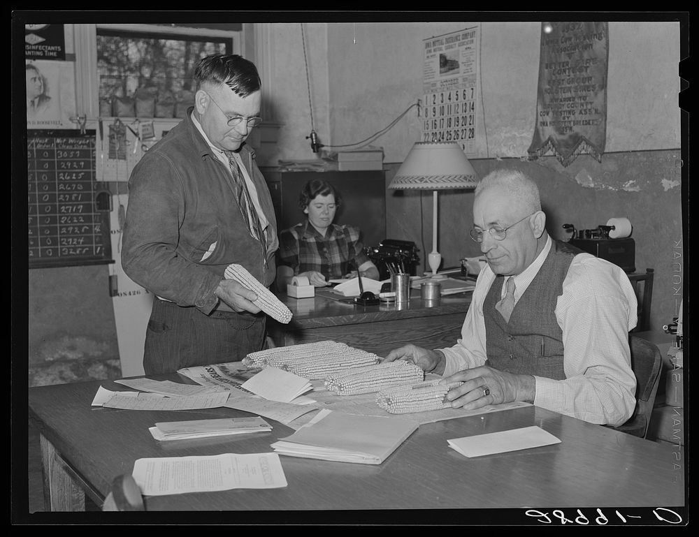 County agent with H.C. Clark, farmer who grows hybrid seed corn. Grundy Center, Iowa. Sourced from the Library of Congress.