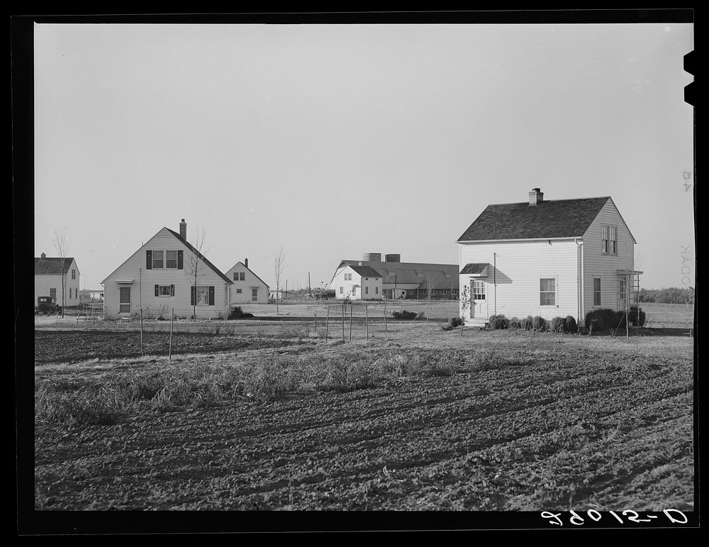 Group of homes located near the dairy farms on Bois d'Arc Cooperative farm. The same well and pump that furnishes water for…