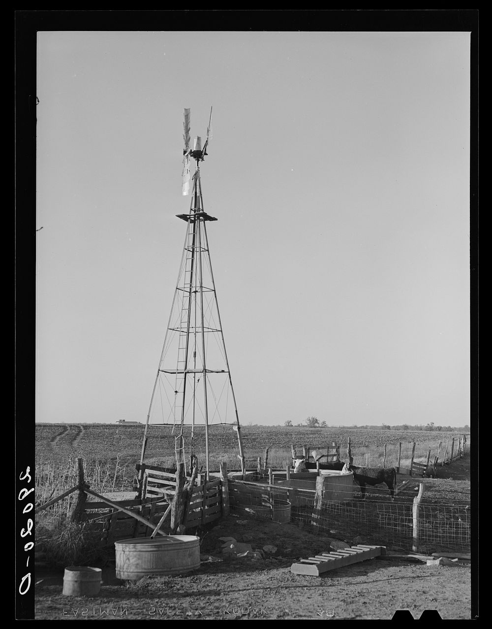 [Untitled photo, possibly related to: Watering tank for feeder cattle. Bois d'Arc Cooperative. Osage Farms, Missouri].…