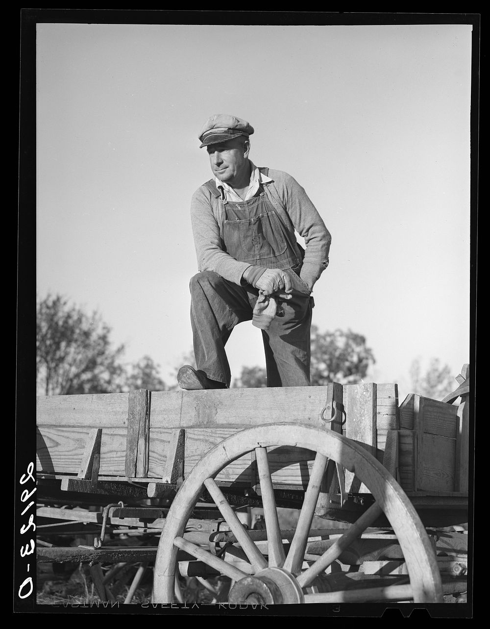 Lawrence Corda, tiff miner, raises corn, oats, and lespedeza when he is not working at the diggings." Washington County…