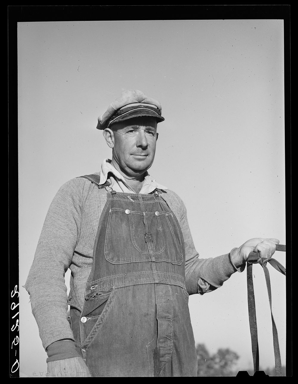 Lawrence Corda, tiff miner, has beef cattle, hogs, a mule, and chickens. He raises most of his own food and feed when he is…