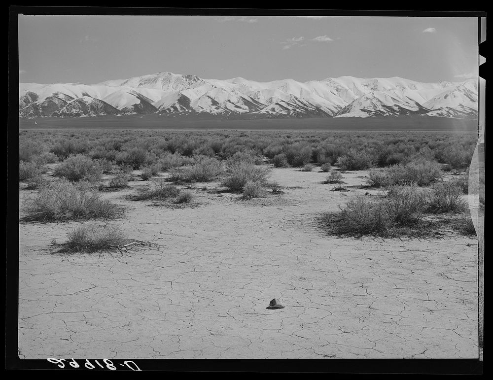 Desert. Lander County, Nevada. Sourced from the Library of Congress.