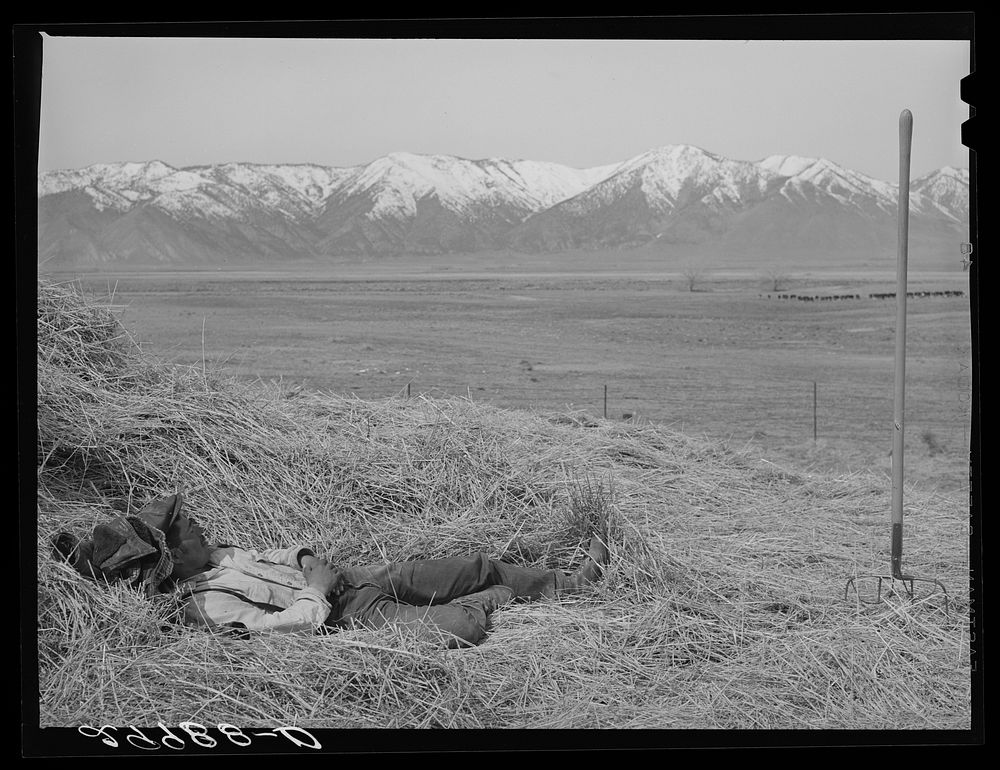 Ranchhand resting on haystack. Dangberg Ranch, Douglas County, Nevada. Sourced from the Library of Congress.