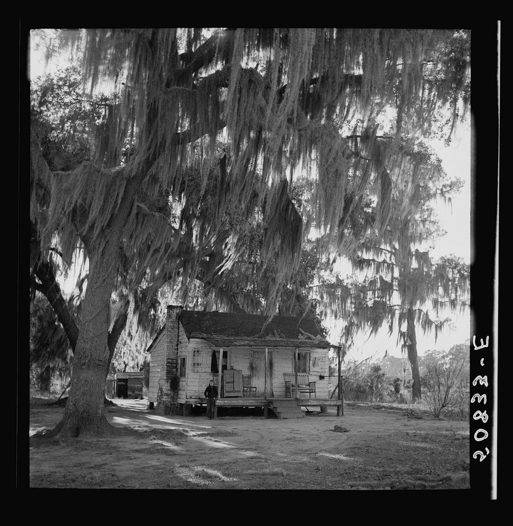 White family's home near Summerville, South Carolina. Sourced from the Library of Congress.