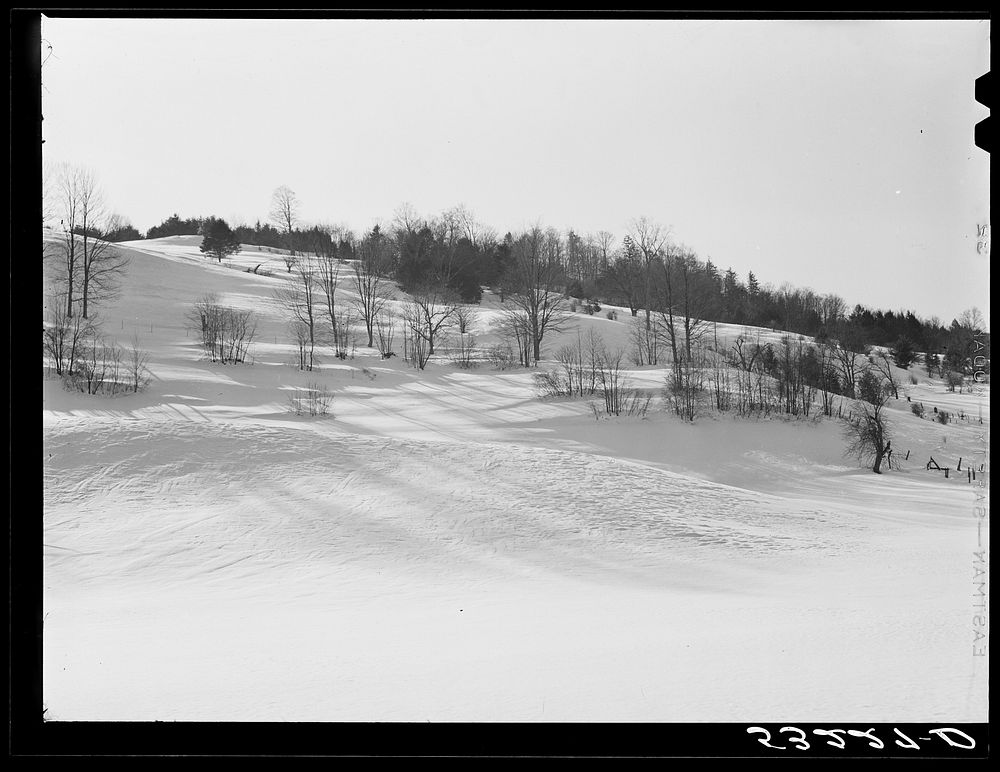 Hillside near Woodstock, Vermont. Sourced from the Library of Congress.