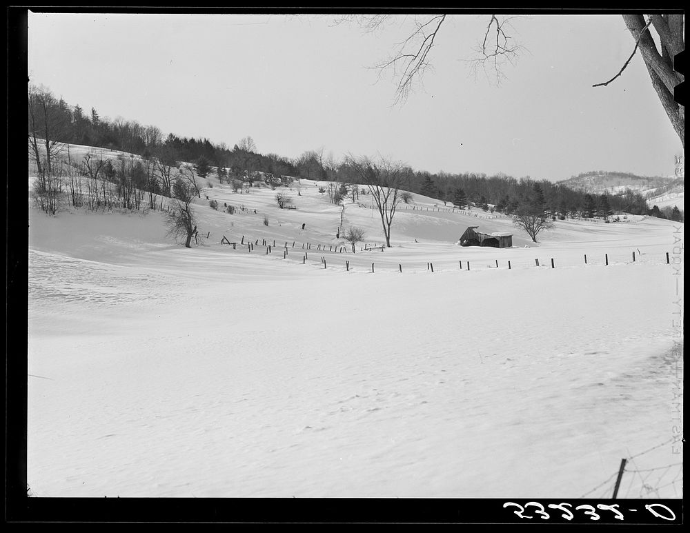 Fields and hillside near Woodstock, Vermont. Sourced from the Library of Congress.
