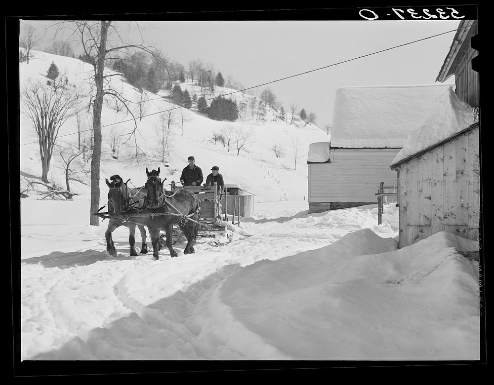 Clinton Gilbert, farmer, and his helper hauling water in milk cans on sled, as their sources of water supply were frozen for…