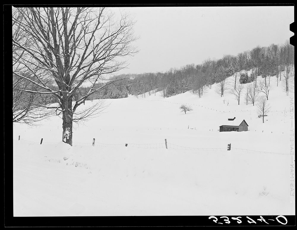 Field and hillside near Barnard. Windsor County, Vermont. Sourced from the Library of Congress.