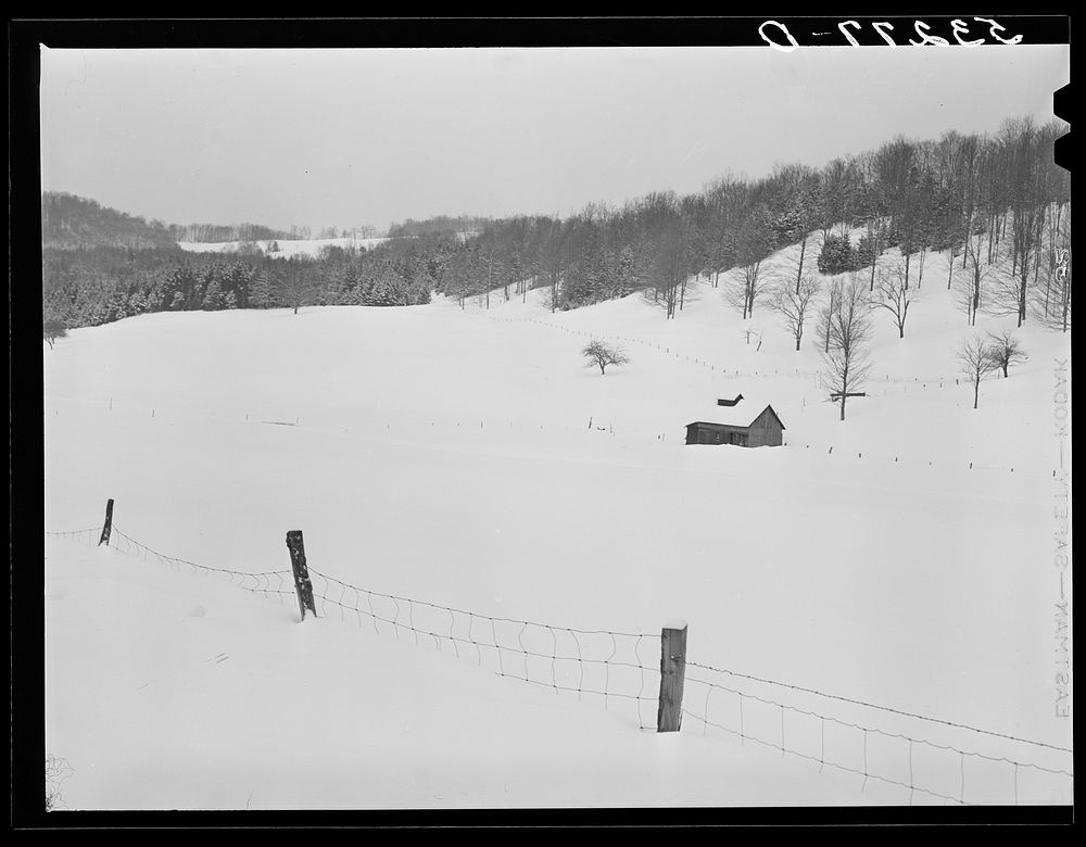 [Untitled photo, possibly related to: Field and hillside near Barnard. Windsor County, Vermont]. Sourced from the Library of…
