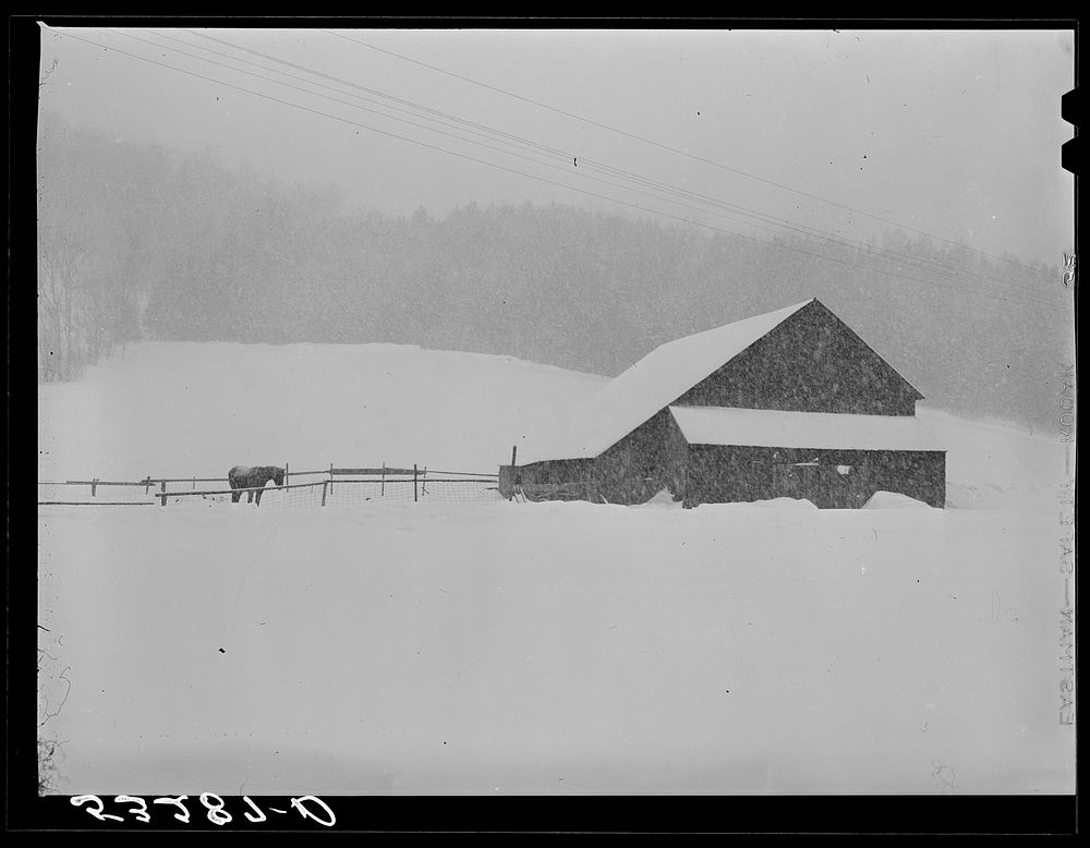[Untitled photo, possibly related to: Dairy barn and farm during snowstorm near Barnard. Windsor County, Vermont]. Sourced…