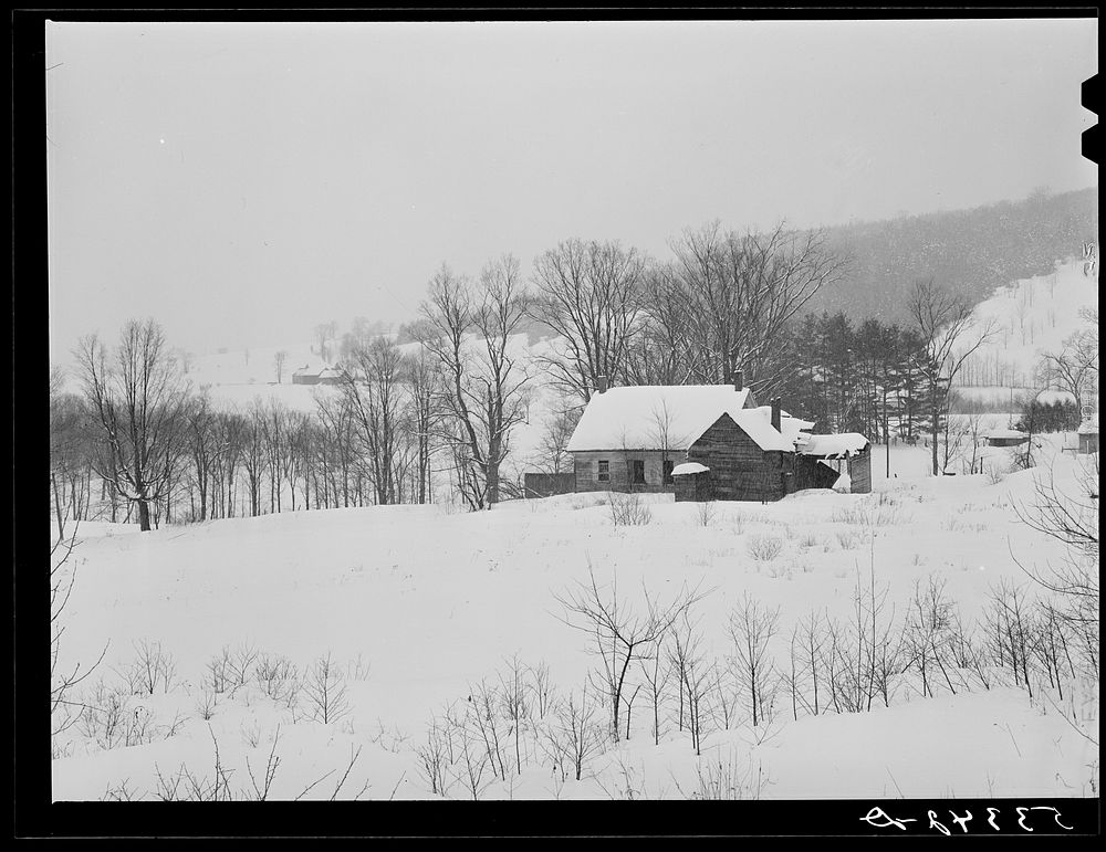 Fields and poor farms on stormy winter day near Taftsville. Windsor County, Vermont. Sourced from the Library of Congress.