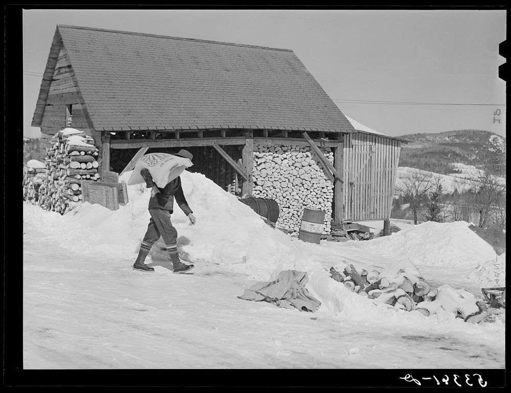 Mr. Dickinson, farmer, carrying sack of cow feed into shed on his farm. Lisbon, near Franconia, New Hampshire. Sourced from…