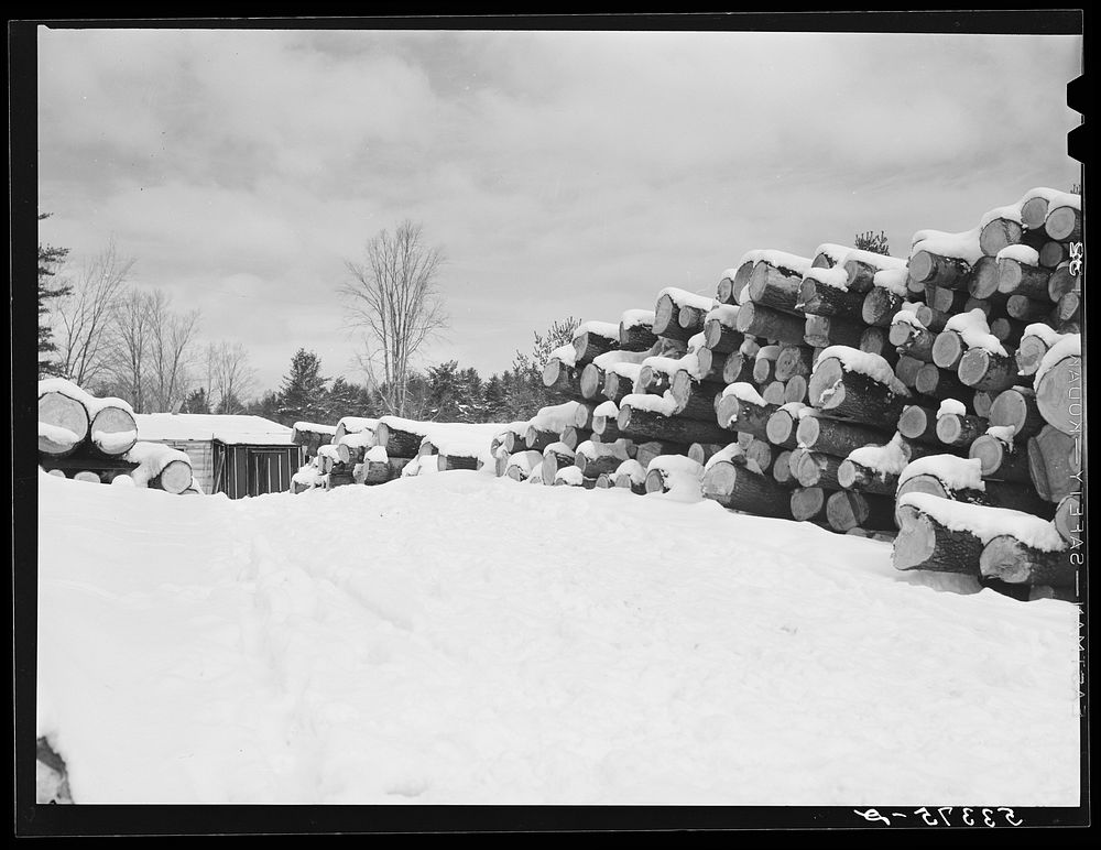 Logs, leveled by 1938 hurricane, piled at sawmill near Warren, New Hampshire. Sourced from the Library of Congress.