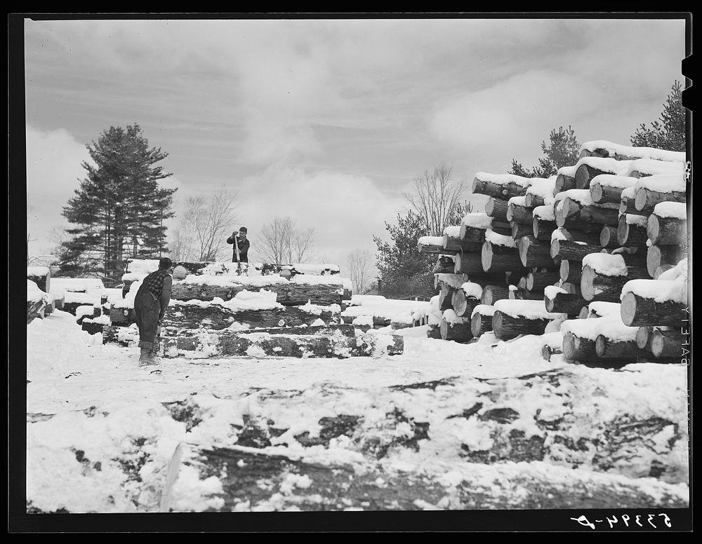 Timber leveled by the 1938 hurricane piled at a saw mill just outside of Warren, New Hampshire. Sourced from the Library of…