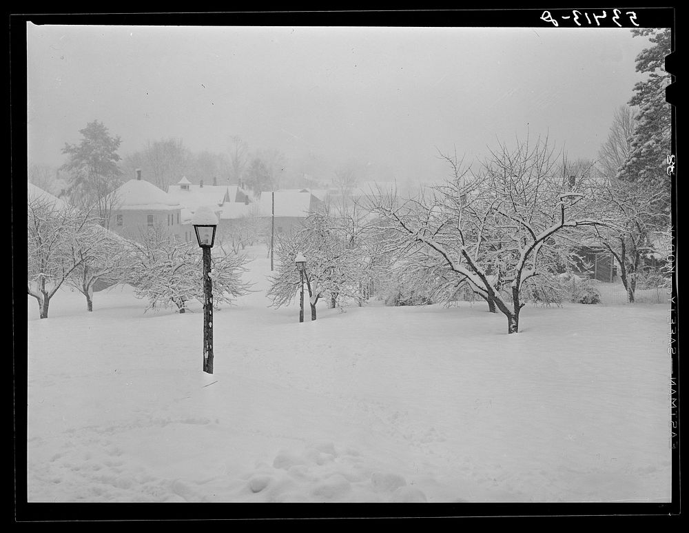 [Untitled photo, possibly related to: North Conway, New Hampshire after a storm]. Sourced from the Library of Congress.