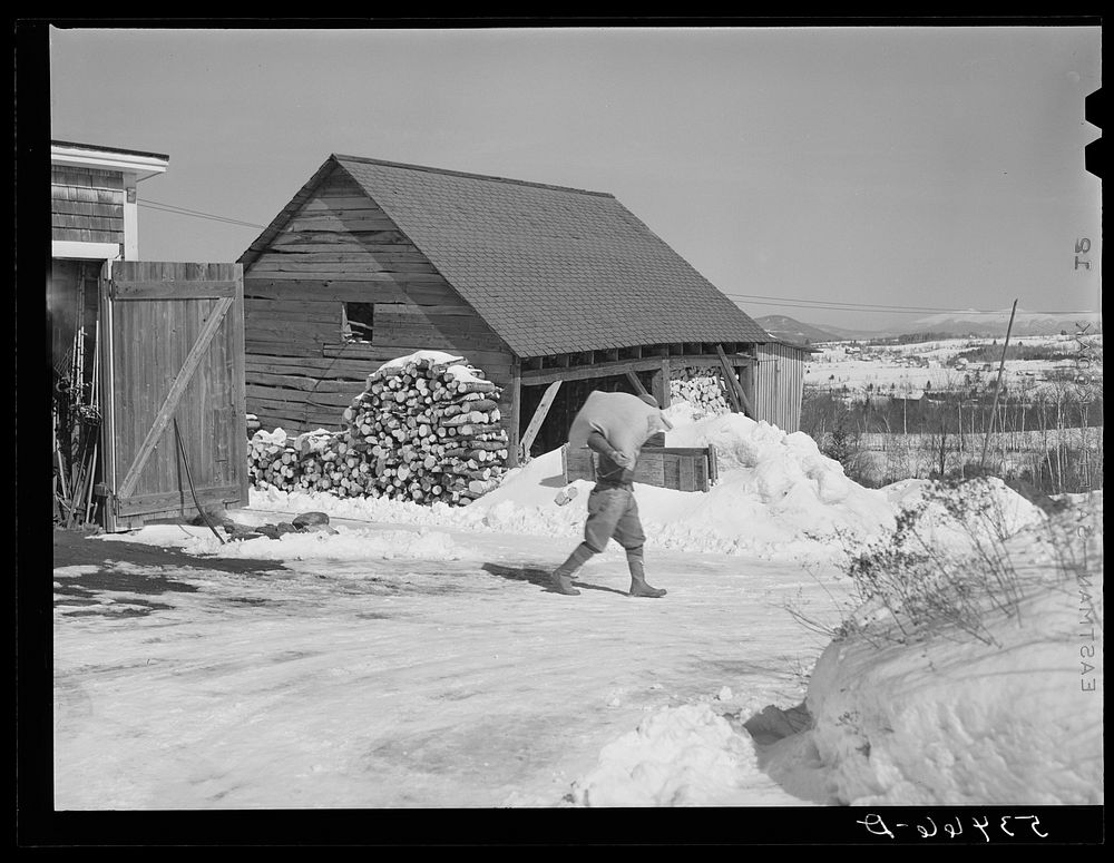 [Untitled photo, possibly related to: Mr. Dickerson carrying sack of feed into shed on his farm. Lisbon, near Franconia, New…