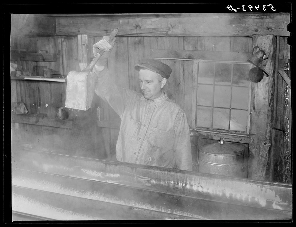 Walter N. Gaylord dripping the boiled-down maple syrup sap to see if it has reached correct consistency for syrup. Making…