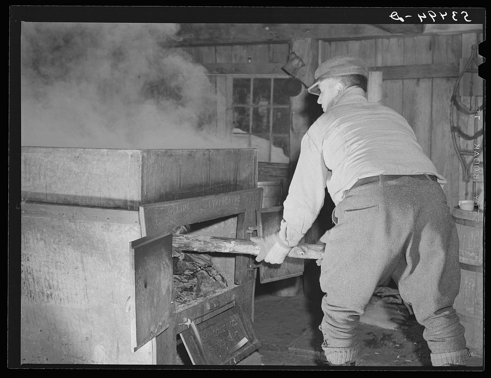 Mr. Walter M. Gaylord "firing" the King evaporator during boiling of maple syrup. Gaylord's farm, Waitsfield, Mad River…