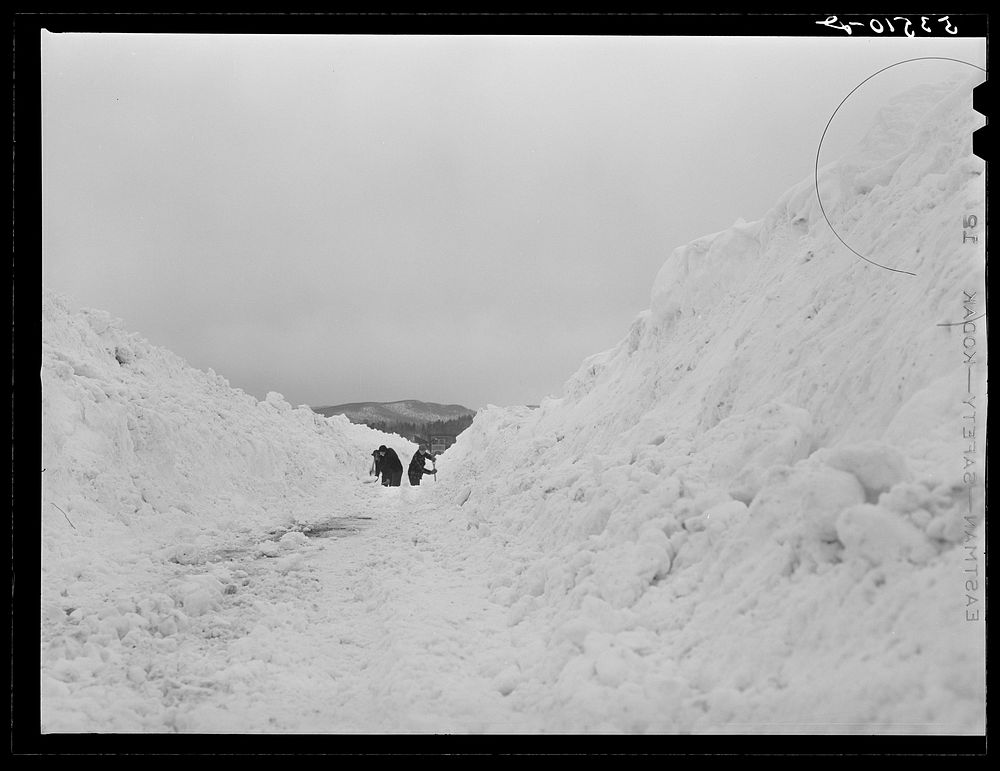 Clearing road near Berlin, New Hampshire. Sourced from the Library of Congress.
