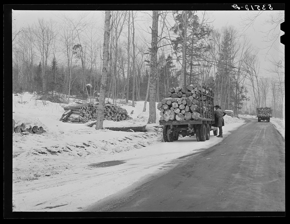 Hauling wood to go to paper mills. Near Littleton, New Hampshire. Sourced from the Library of Congress.