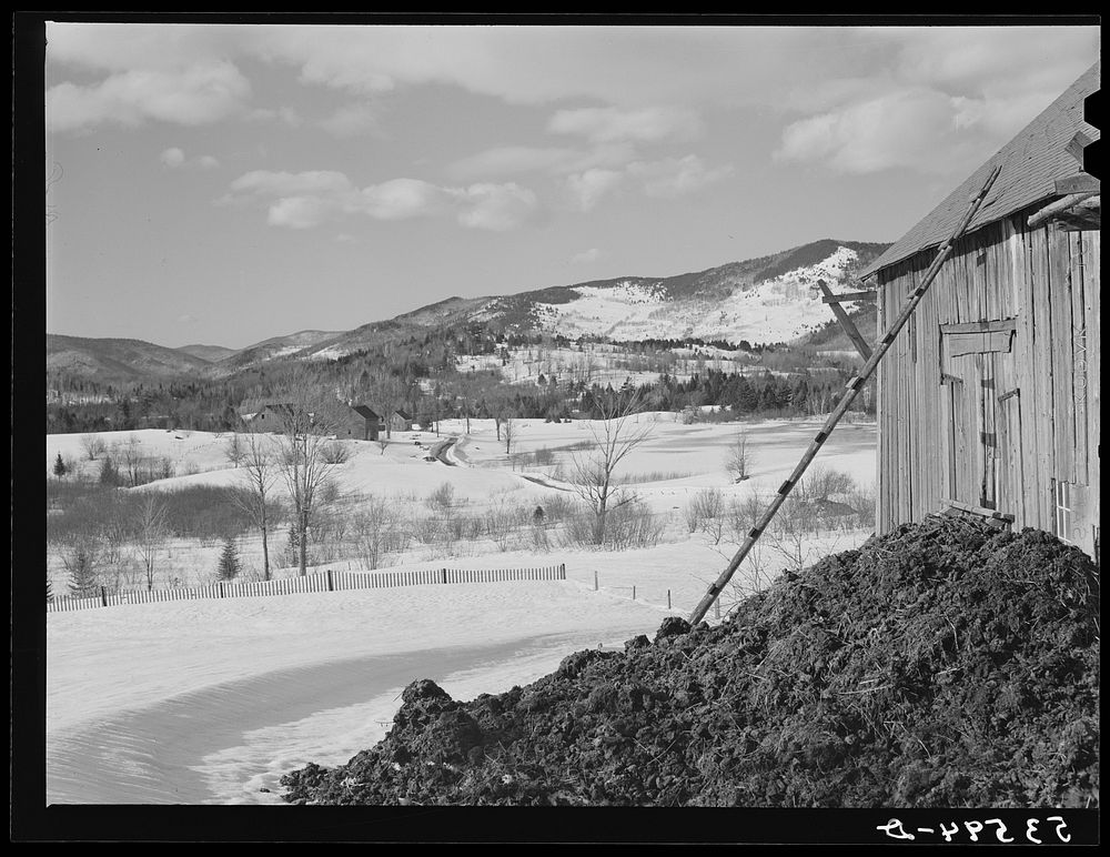 [Untitled photo, possibly related to: Poor farm near Berlin, New Hampshire]. Sourced from the Library of Congress.