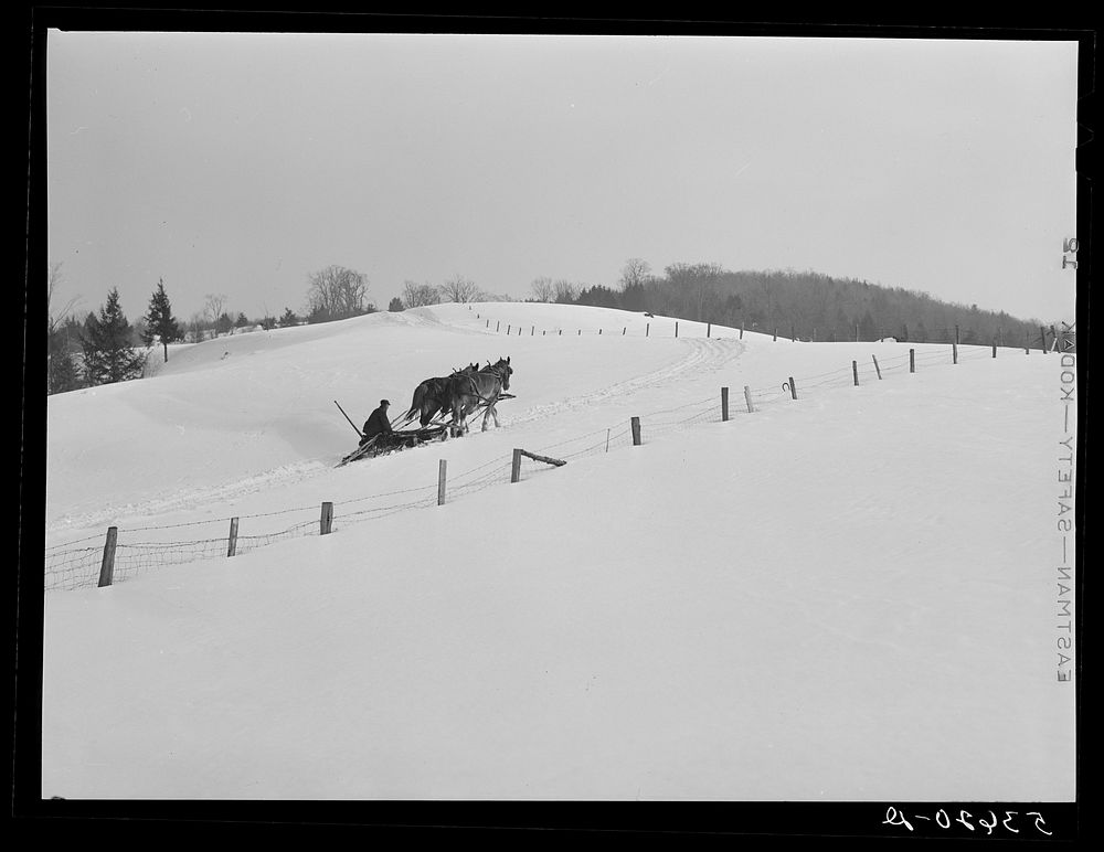 Hired man on farm near Waterbury, Vermont going to haul logs with sled and team. Sourced from the Library of Congress.