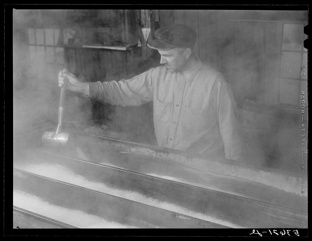 [Untitled photo, possibly related to: Walter M. Gaylord dripping the boiled-down maple sap to see if it has reached correct…