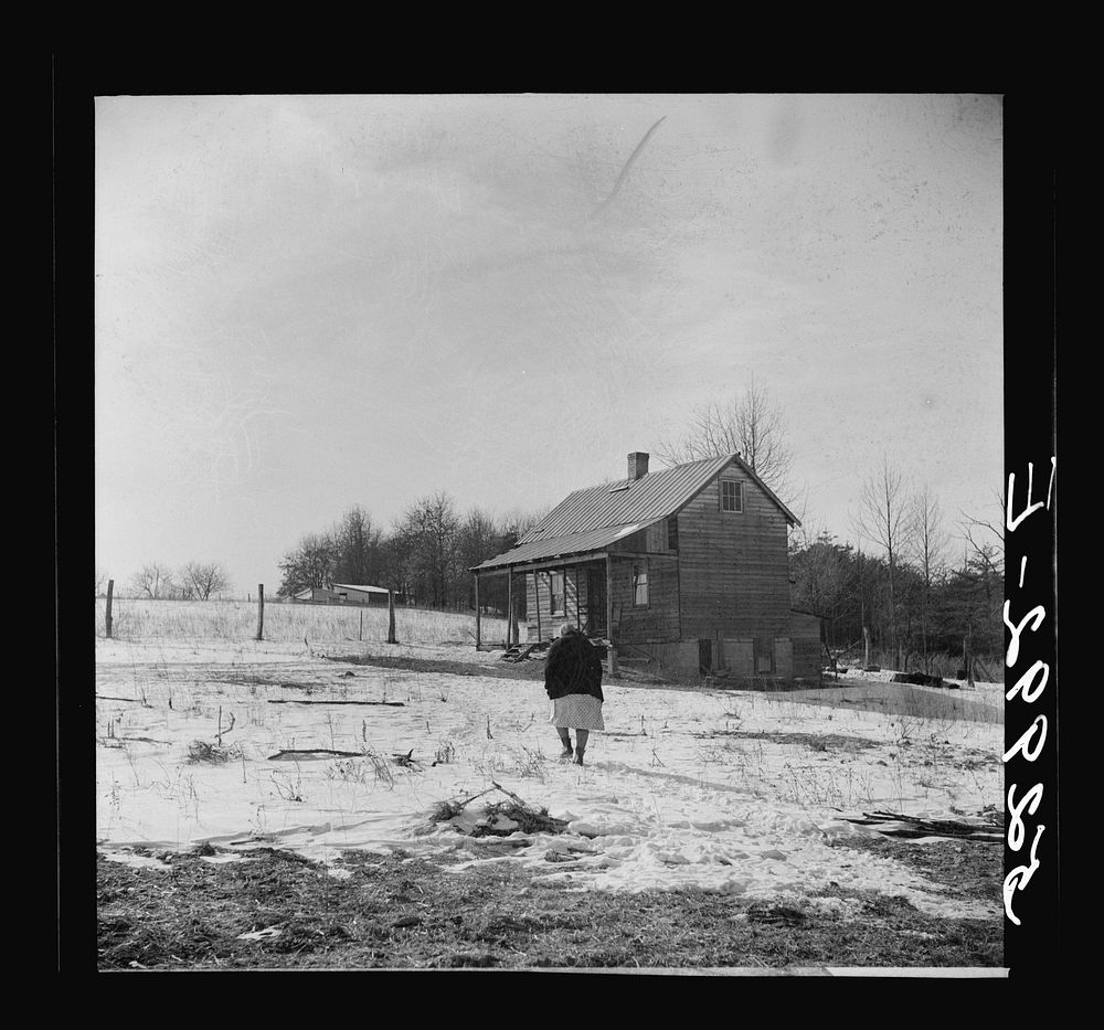 Farmer's wife going to her home from barn where they were killing hogs. Near Frederick, Maryland. Sourced from the Library…