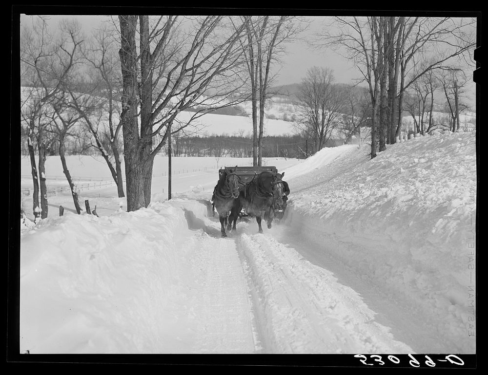Horses pulling sled along road near Woodstock, Vermont. Sourced from the Library of Congress.