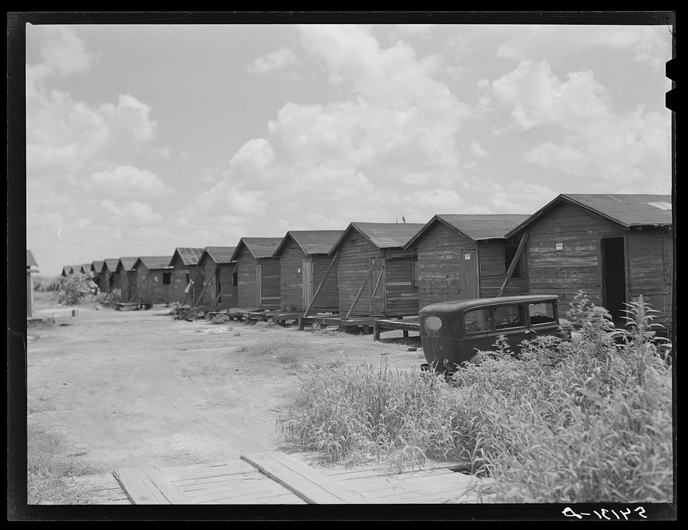 [Untitled photo, possibly related to: Shacks condemned by board of health, formerly lived in by migratory workers and…