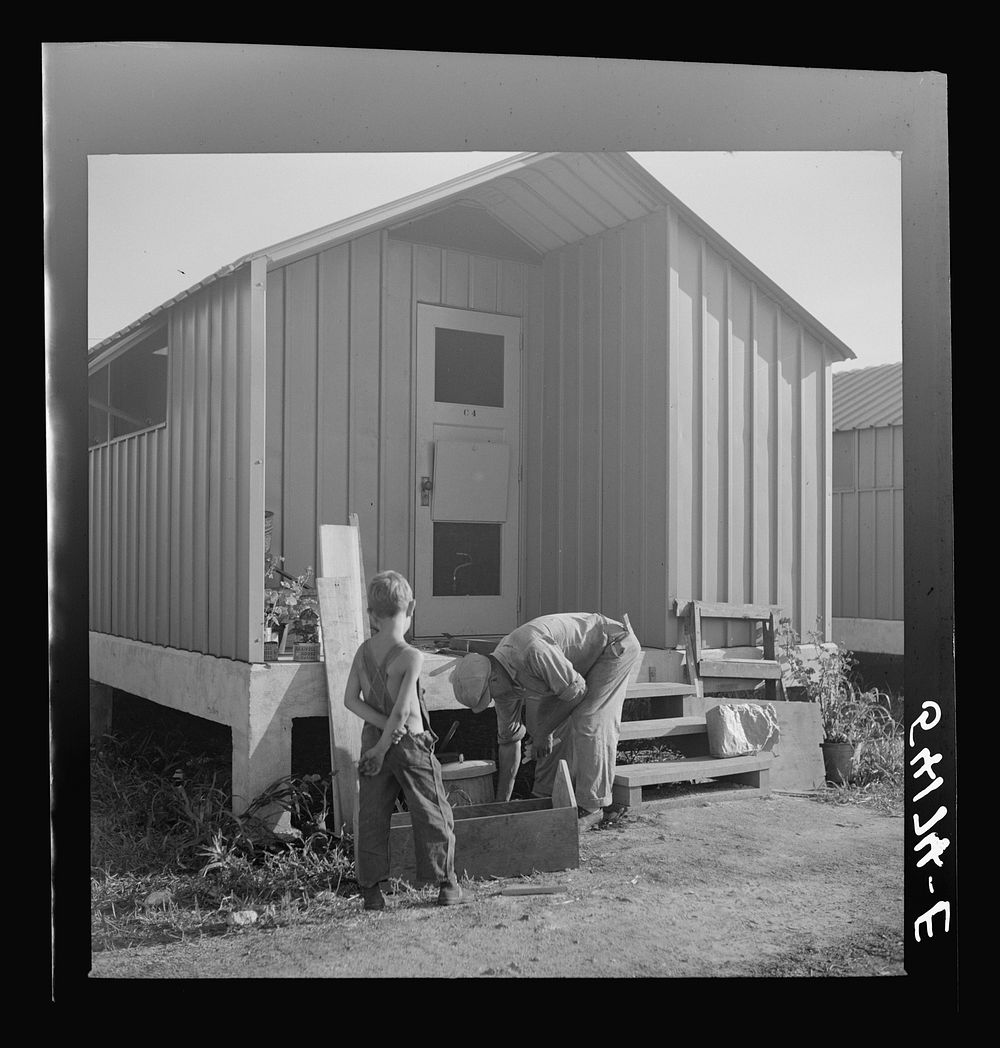 Camp member who does general carpentry work jobs during slack packing house season builds a window box for his shelter at…