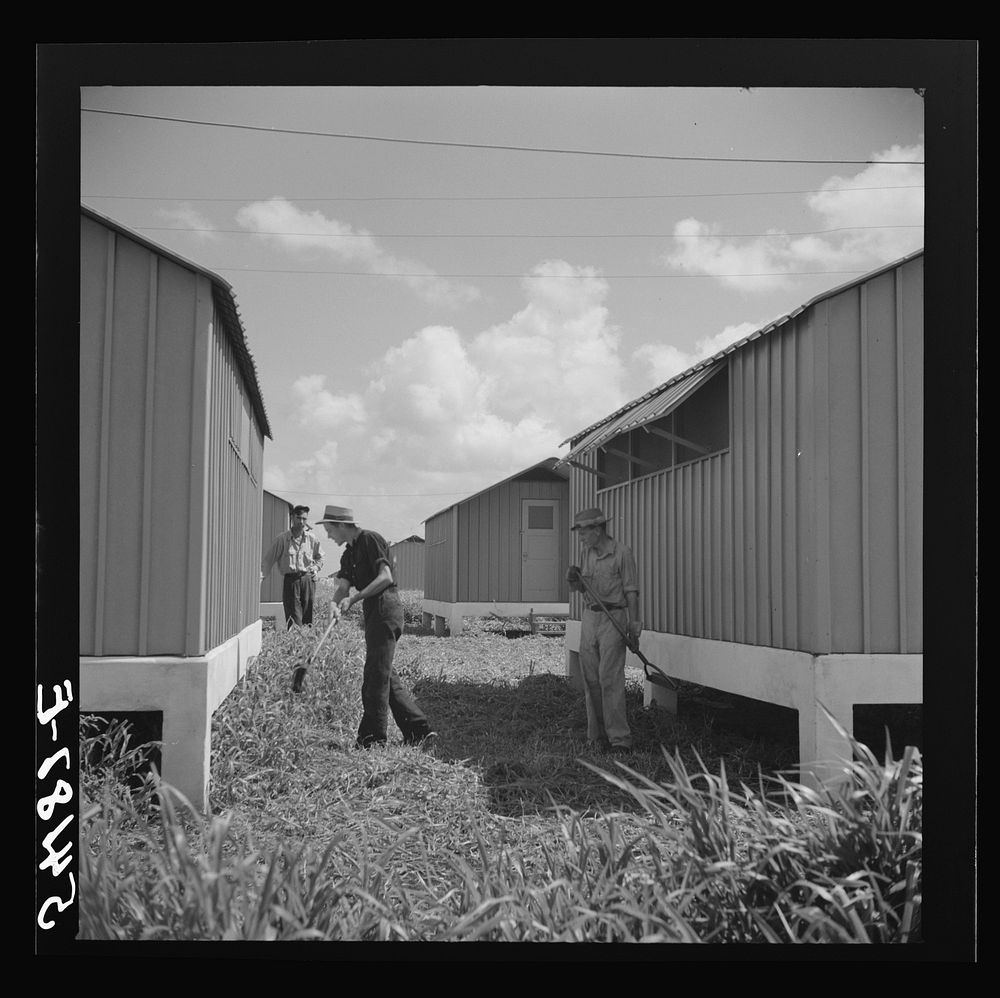 [Untitled photo, possibly related to: Camp members cutting the grass, cleaning up and making needed repairs during their…