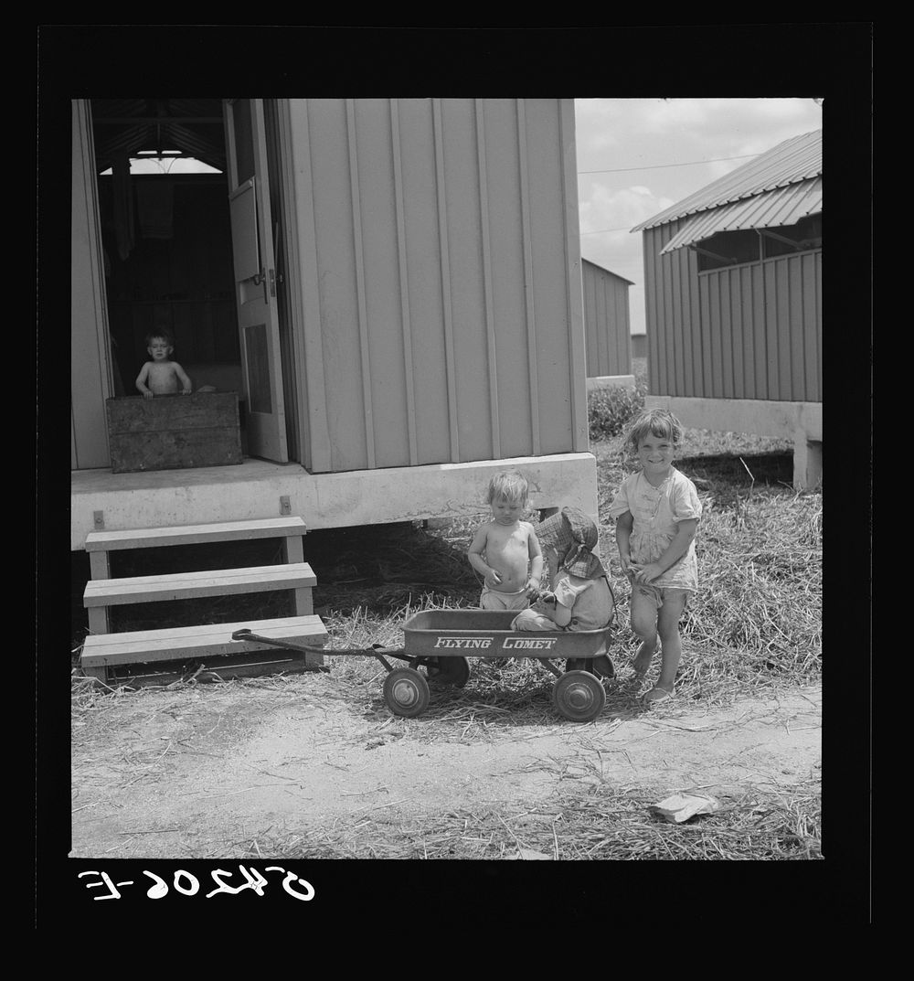 [Untitled photo, possibly related to: Camp members' children playing outside their shelters at Osceola migratory labor camp.…